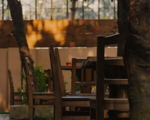 481149688_957662469829959_9066178103244542333_n