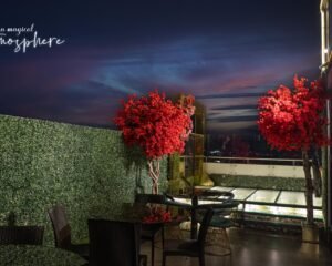 488530216_686497863774585_7932436283006213583_n