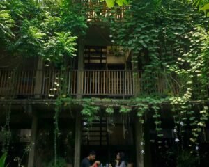 504515961_723811640174367_5556962003743294436_n