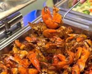 521350357_1153196996851495_2600474780540086582_n