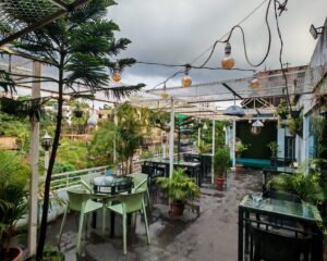 547267003_806235638803804_4103162962661314441_n